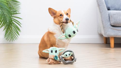 Show full view: GMASON STAR WARS Mandalorian The Child In Cradle, Plush Flattie, & Plush Rope Squeaky Plush Dog Toys, 3 count slide 8 of 8