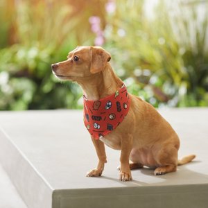 STAR WARS Pictogram Dog & Cat Bandana, X-Small/Small