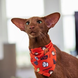 STAR WARS Pictogram Dog & Cat Bandana, X-Small/Small