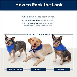 STAR WARS Pictogram Dog & Cat Bandana, X-Small/Small