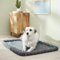 STAR WARS THE MANDALORIAN GROGU AUREBRESH Dog Crate Mat, 48-inch