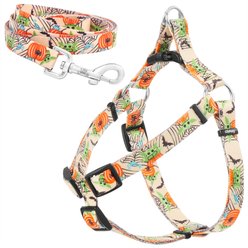 STAR WARS THE MANDALORIAN GROGU Pumpkin Dog Harness, LG + THE MANDALORIAN GROGU Pumpkin Dog Leash, LG