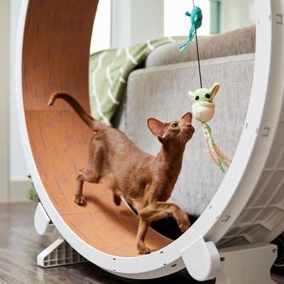 Show full view: STAR WARS THE MANDALORIAN GROGU Teaser Wand Cat Toy with Catnip slide 3 of 5