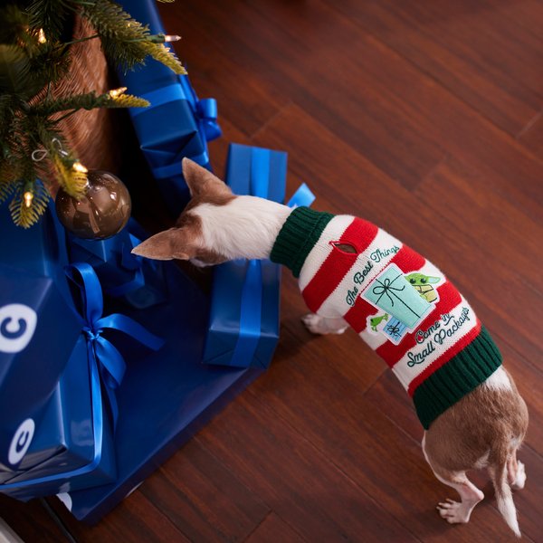 Show full view: STAR WARS THE MANDALORIAN GROGU "The Best Things" Dog & Cat Sweater, XX-Large slide 6 of 7