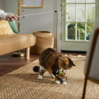 Show full view: STAR WARS THE MANDALORIAN'S THE CHILD New Years Eve Teaser Cat Toy, with Catnip slide 4 of 5