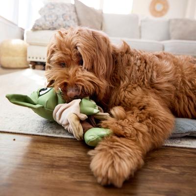 Show full view: STAR WARS YODA Ballistic Nylon Plush Squeaky Dog Toy slide 3 of 5