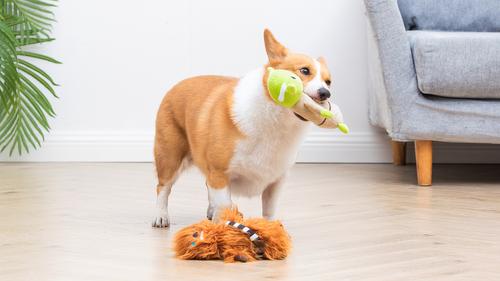 Show full view: Fetch For Pets STAR WARS Yoda & Chewbacca Bobo Squeaky Plush Dog Toys, 9-in, 2 count slide 7 of 7