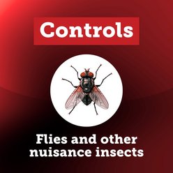 Starbar EZ Stik Insecticide Free Fly Insect Control, 8-in, 6 count slide 2 of 8