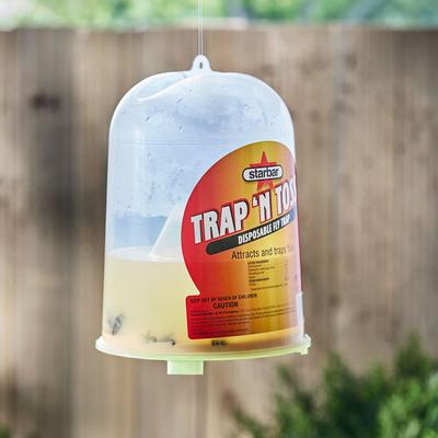 Show full view: Starbar Trap 'N Toss Fly Trap, 1 count slide 4 of 6