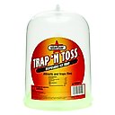 Starbar Trap 'N Toss Fly Trap, 4 count