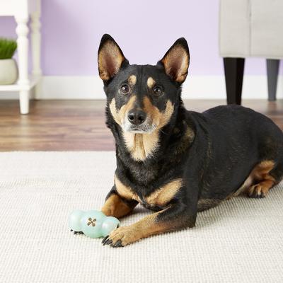 Show full view: Starmark Crunching Multiball Treat Dispensing Tough Dog Toy, Medium slide 3 of 12