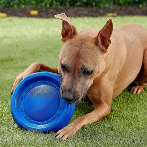Starmark Easy Glide DuraFoam Flying Disc Dog Toy, Color Varies, 9-in