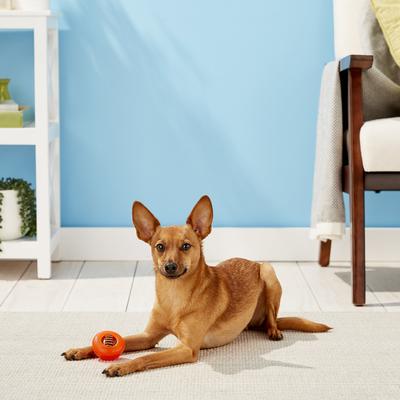 Show full view: Starmark Everlasting Bento Ball with Dental Treat Tough Dog Chew Toy, Small slide 3 of 11