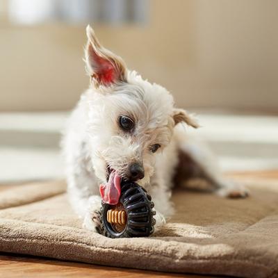 Show full view: Starmark Everlasting Chicken Flavored Dental Dog Treats, Small, 2 count slide 6 of 9