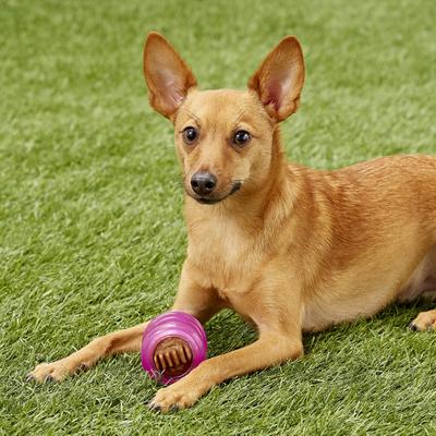 Show full view: Starmark Everlasting Groovy Ball Tough Dog Chew Toy, Small slide 4 of 8