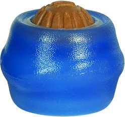 Starmark Everlasting Treat Ball with Dental Treat Tough Dog Chew Toy, Large