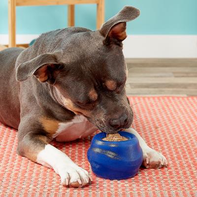 Show full view: Starmark Everlasting Treat Ball with Dental Treat Tough Dog Chew Toy, Medium slide 3 of 9