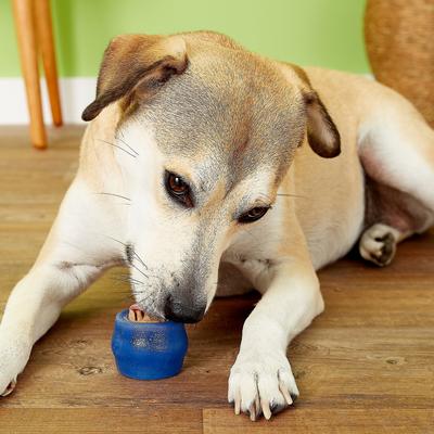 Show full view: Starmark Everlasting Treat Ball with Dental Treat Tough Dog Chew Toy, Small slide 3 of 10