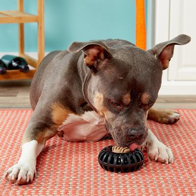 Show full view: Starmark Everlasting Treat Wheeler Tough Dog Chew Toy, Medium slide 3 of 9