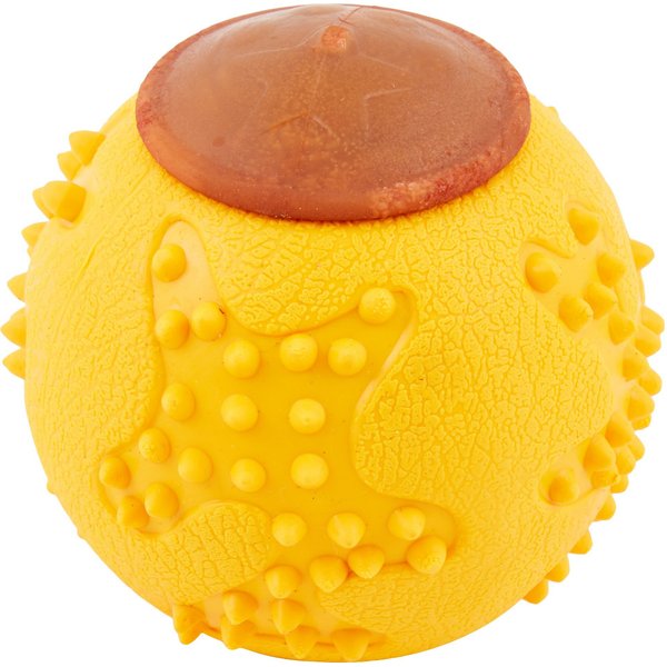 Starmark RubberTuff Treat Bone Tough Dog Chew Toy