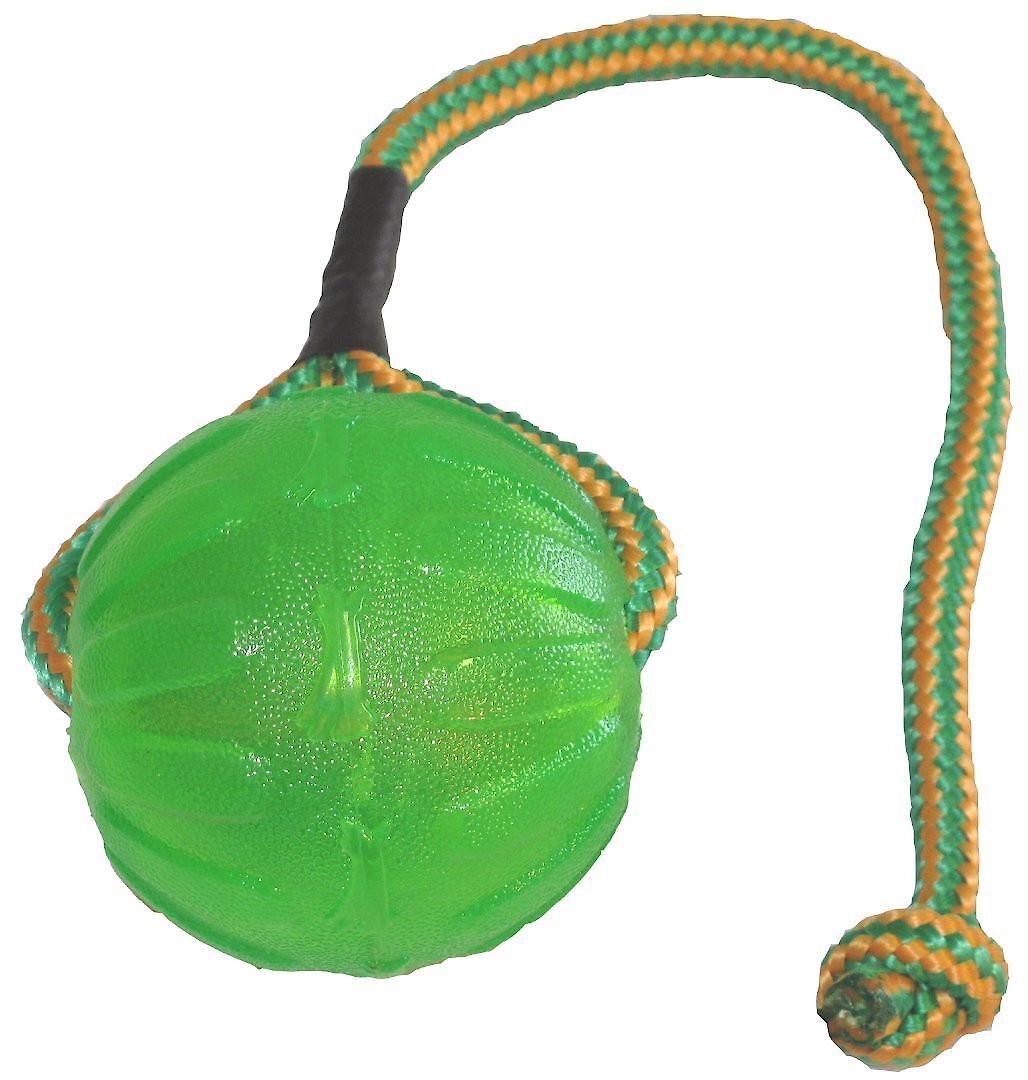 Product Reviews for STARMARK Swing 'n Fling Chew Ball Dog Toy
