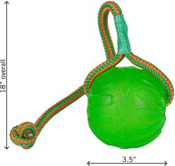 Starmark Swing 'n Fling Chew Ball Dog Toy slide 2 of 5
