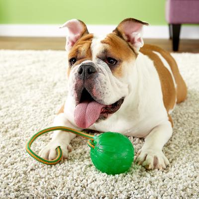 Show full view: Starmark Swing 'n Fling Chew Ball Dog Toy slide 3 of 8