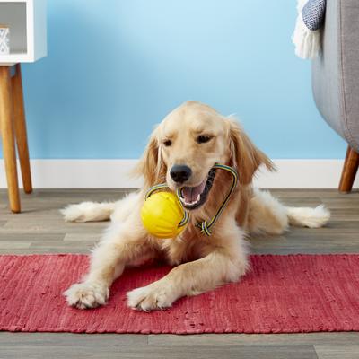 Show full view: Starmark Swing 'n Fling DuraFoam Ball Dog Toy, Large slide 3 of 6