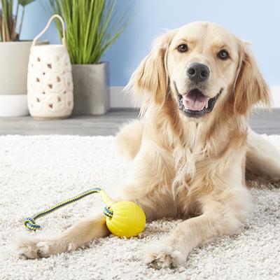 Show full view: Starmark Swing 'n Fling DuraFoam Ball Dog Toy, Medium slide 4 of 7