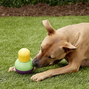 Starmark Treat Dispensing Bob-a-Lot Dog Toy, Small