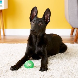 Starmark Treat Dispensing Chew Ball Tough Dog Toy, Medium