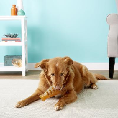 Show full view: Starmark Treat Ringer FlexGrip Turkey Leg Tough Dog Chew Toy, Medium slide 3 of 9