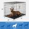 Show in main carousel: Starter Kit - Frisco Fold & Carry Double Door Collapsible Wire Dog Crate, 42 inch + 3 other items slide 3 of 9