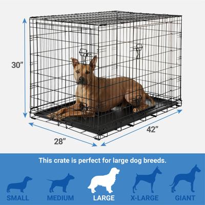 Show full view: Starter Kit - Frisco Fold & Carry Double Door Collapsible Wire Dog Crate, 42 inch + 3 other items slide 3 of 9