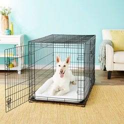 Starter Kit - Frisco Fold & Carry Double Door Collapsible Wire Dog Crate, 48 inch + 3 other items slide 2 of 9