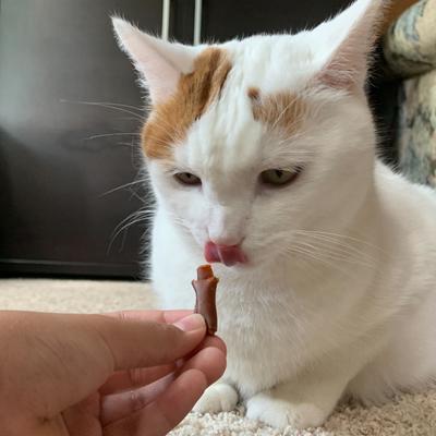 Show full view: Stashios Wrap-Ups Peanut Butter Pill Wrapper Dog & Cat Treat, 30 count slide 7 of 8