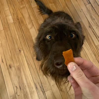 Show full view: Stashios Wrap-Ups Peanut Butter Pill Wrapper Dog & Cat Treat, 30 count slide 6 of 8