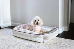 Stazko Damaged Hair Dog & Cat Conditioner, 16-fl oz bottle slide 2 of 4