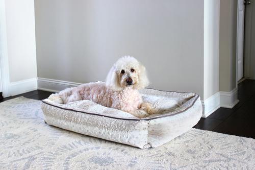 Show full view: Stazko Damaged Hair Dog & Cat Conditioner, 16-fl oz bottle slide 2 of 4