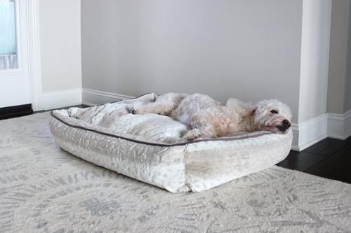 Show full view: Stazko Damaged Hair Dog & Cat Conditioner, 16-fl oz bottle slide 4 of 4