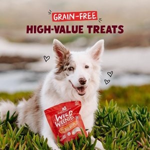 Stella & Chewy's Beef Wild Weenies Freeze-Dried Raw Dog Treats, 3.25-oz bag