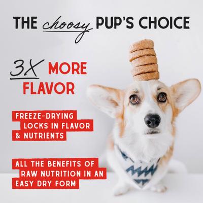 Show full view: Stella & Chewy's Absolutely Rabbit Dinner Patties Freeze-Dried Raw Dog Food, 50-oz bundle slide 7 of 14