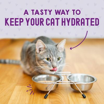 Show full view: Stella & Chewy's Carnivore Cravings Chicken & Chicken Liver Flavored Shredded Wet Cat Food, 2.8-oz pouch, case of 24 slide 8 of 10