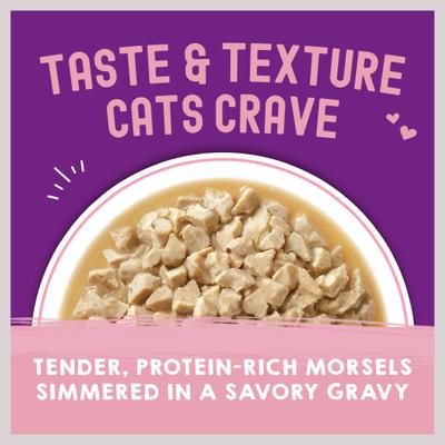 Show full view: Stella & Chewy's Carnivore Cravings Morsels'N'Gravy Chicken & Salmon Recipe, 2.8-oz pouch, case of 12 slide 3 of 11