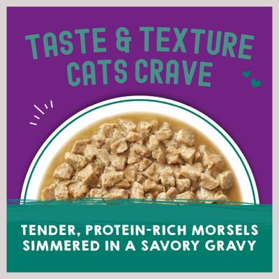 Show full view: Stella & Chewy's Carnivore Cravings Morsels'N'Gravy Salmon & Mackerel Recipe Cat Food, 2.8-oz pouch, case of 12 slide 6 of 10