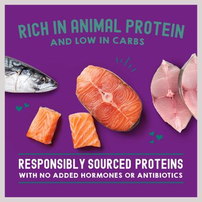 Show full view: Stella & Chewy's Carnivore Cravings Morsels'N'Gravy Salmon & Mackerel Recipe Cat Food, 2.8-oz pouch, case of 12 slide 8 of 10