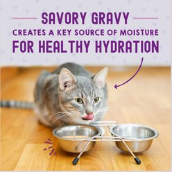 Stella & Chewy's Carnivore Cravings Morsels'N'Gravy Salmon & Tuna Recipe Cat Food, 2.8-oz pouch, case of 12 slide 2 of 9