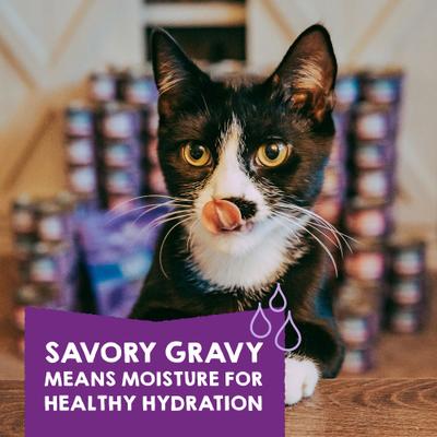 Show full view: Stella & Chewy's Carnivore Cravings Savory Shreds Variety Pack Cat Food, 2.8-oz can, case of 12 slide 6 of 11