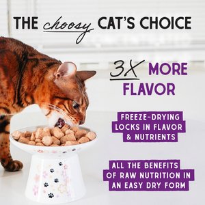 Stella & Chewy's Chick Chick Chicken Dinner Morsels Freeze-Dried Raw Cat Food, 1-oz bag