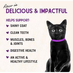 Stella & Chewy's Chick Chick Chicken Dinner Morsels Freeze-Dried Raw Cat Food, 1-oz bag